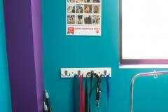 KACM-Vet-Ribbon-Cutting-13