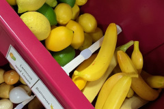 Final-Grocery-Pics-10-28-19-15